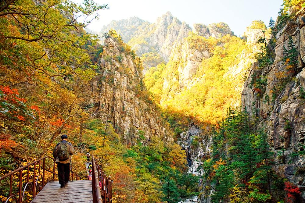 Địa điểm du lịch lý tưởng tại xứ Kim chi mộng mơ