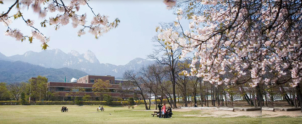 học tiếng Hàn ở Hàn Quốc với trường đại học nữ sinh Duksung