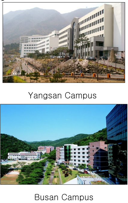 2 campus của trường Youngsan