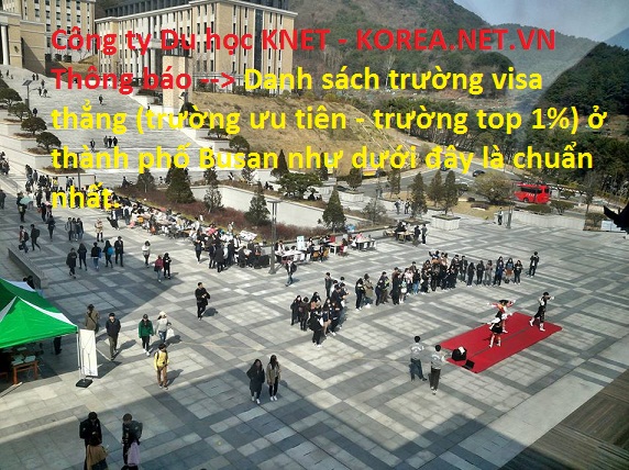trường đại học visa thẳng ở Busan