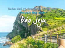 Du lịch Đảo Jeju vơi Thiên đường trà