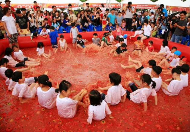 Lễ hội Cà chua Gwangju Toechon
