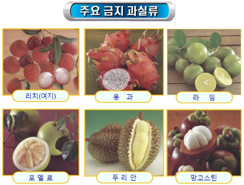 các loại hoa quả không được mang vào Hàn Quốc