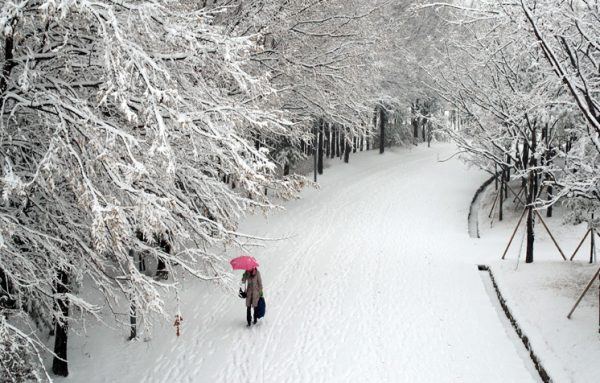 Mùa đông tại Hàn Quốc rất lạnh và con đường được phủ đầy tuyết trắng