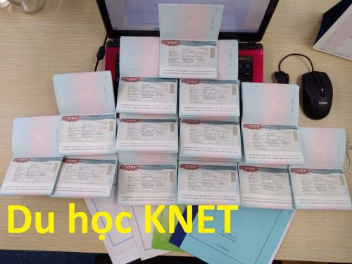 Công ty Knet có liên kết nhiều trường ra mã code nên visa du học về liên tục tại công ty
