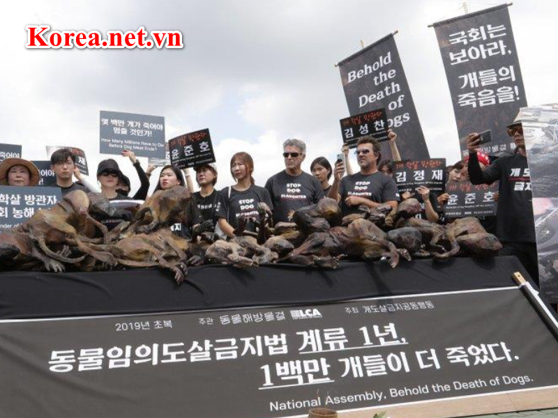 Hàn Quốc biểu tình phản đối việc giết mổ thịt chó ở Hàn Quốc.