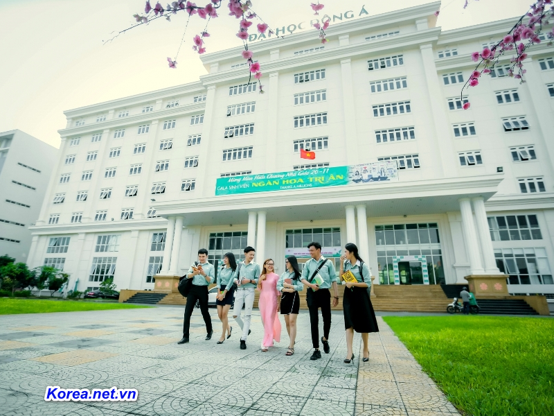 Top 5 Trường Đại Học Hàn Quốc ở Busan tốt Nhất 2021
