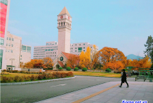 Top 5 trường đại học Hàn Quốc tốt nhất
