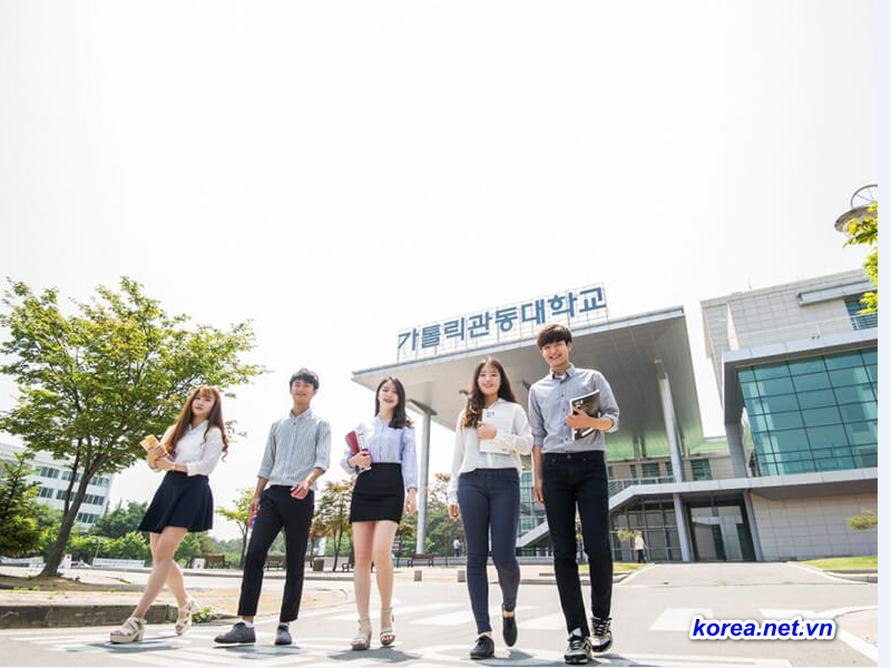 Học ở Busan là lựa chọn chính xác cho sinh viên VN